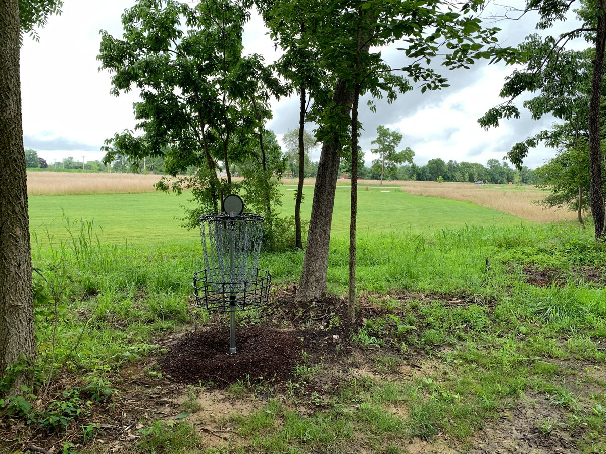 Hole 15 basket to tee