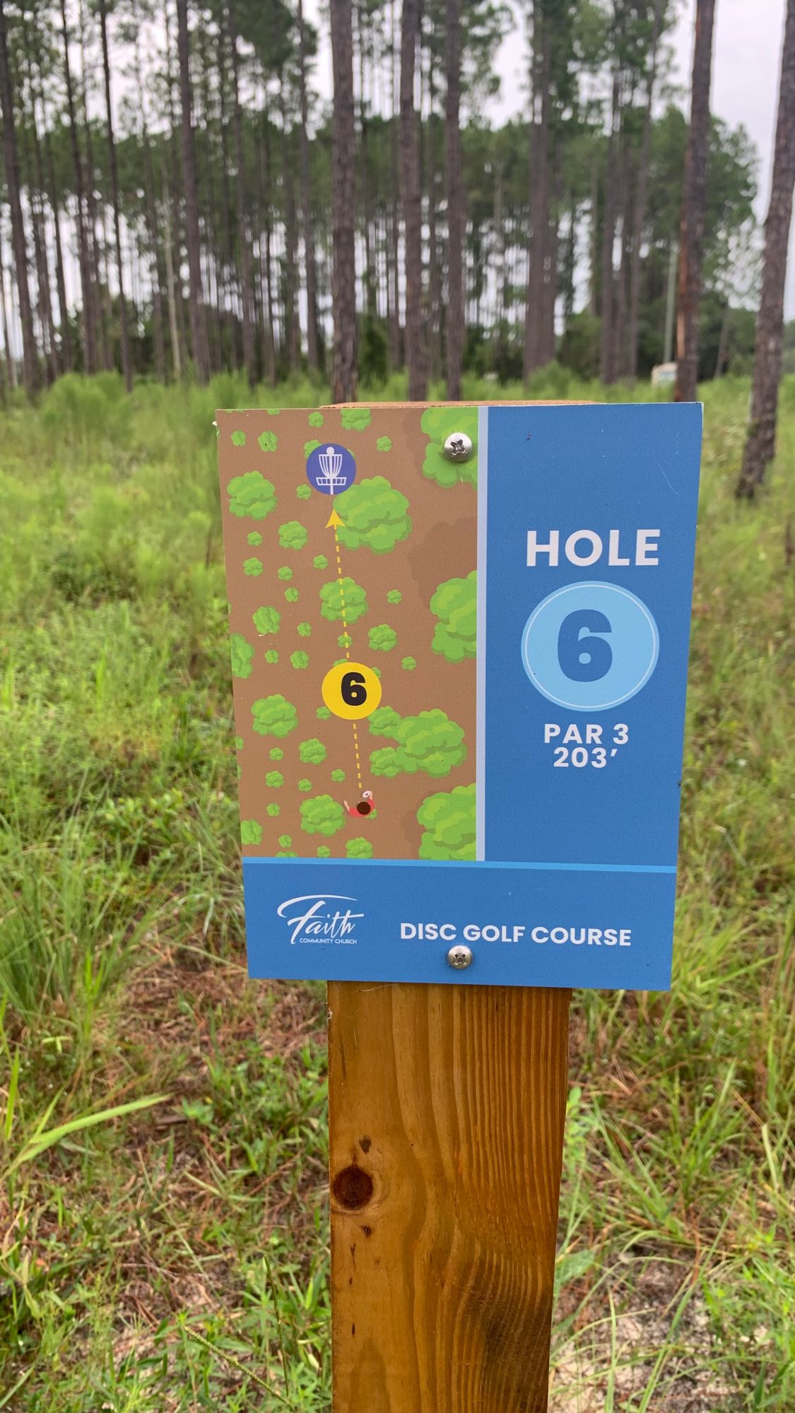 Hole 6