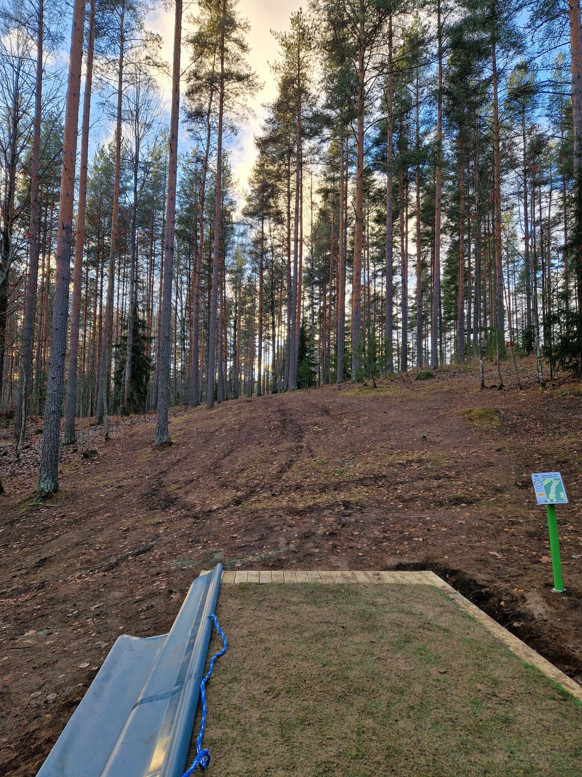 Am tee 17