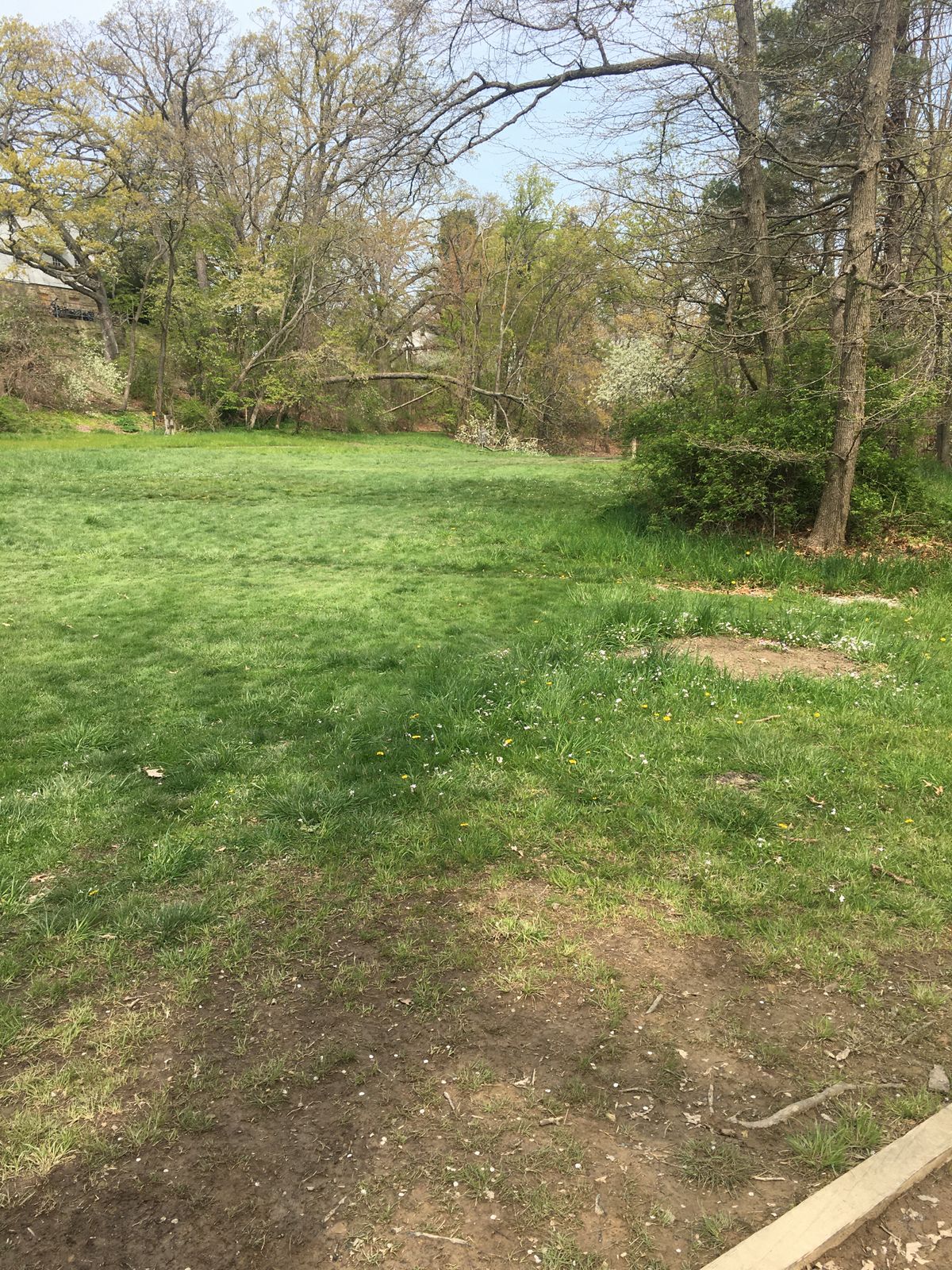 Hole #2. Open, slightly right.