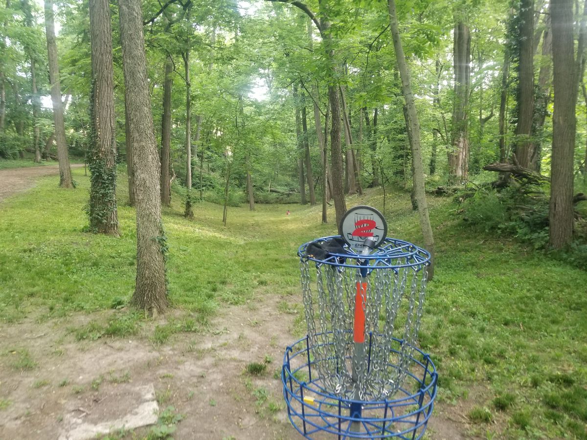Hole 2 short basket with fairway towards long behind