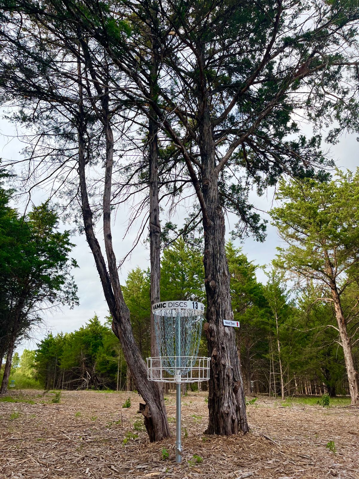 Short basket