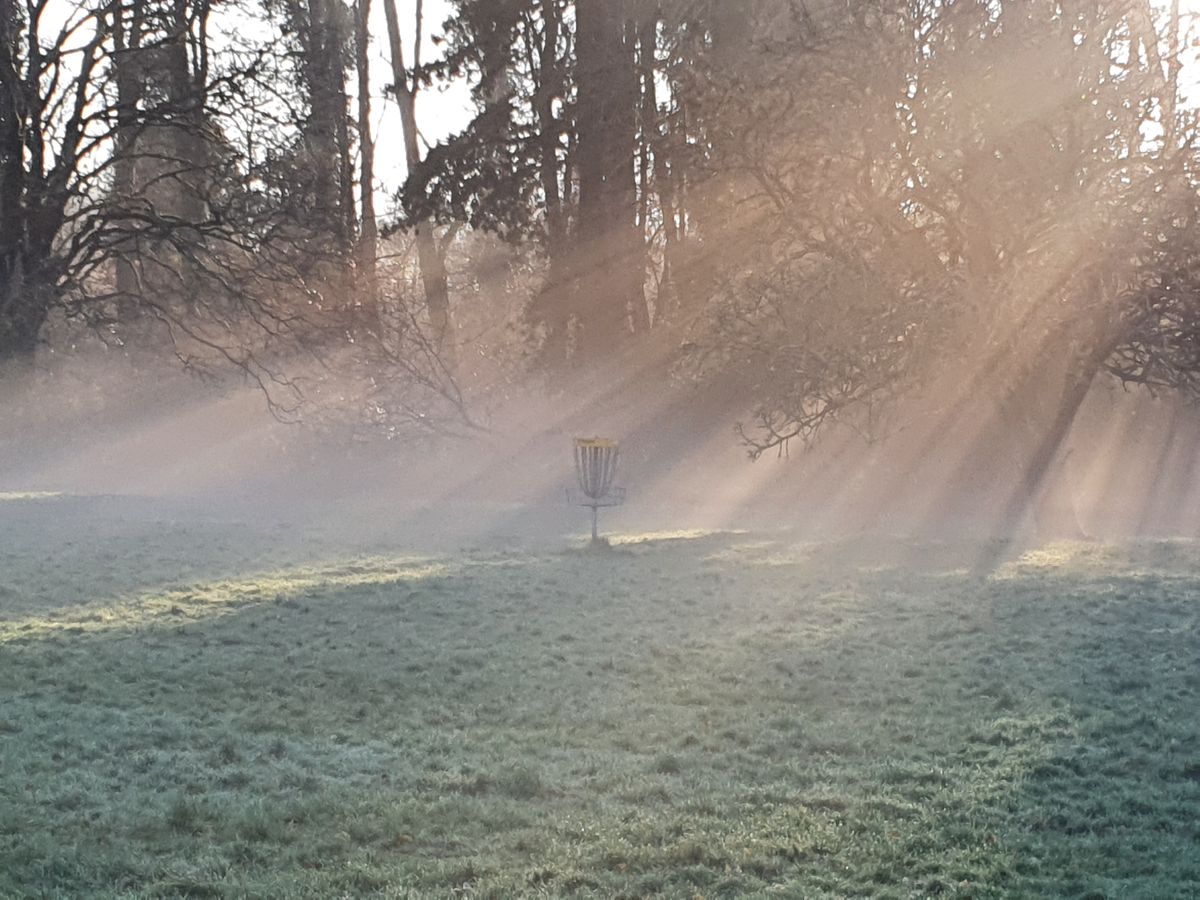 Eerie morning at Rosshall DGC
