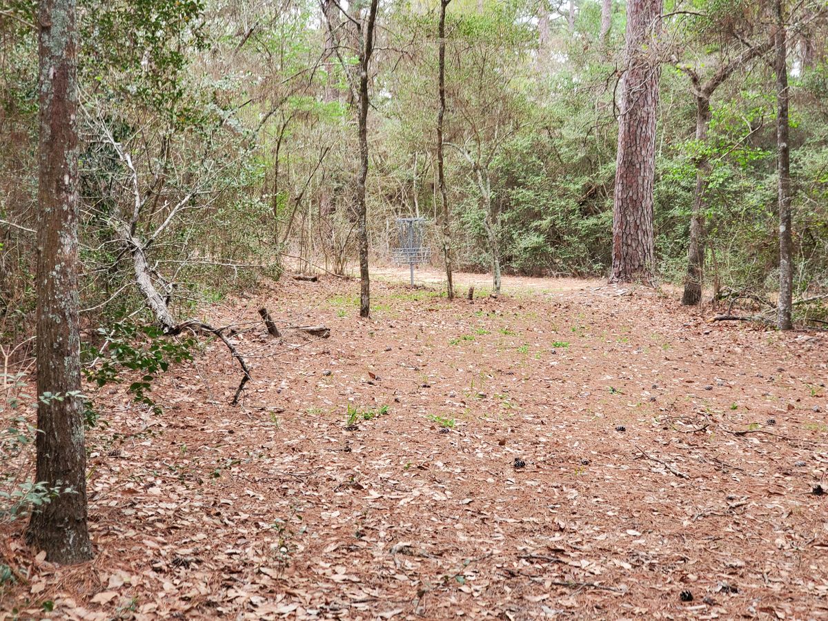 Hole 3 basket.