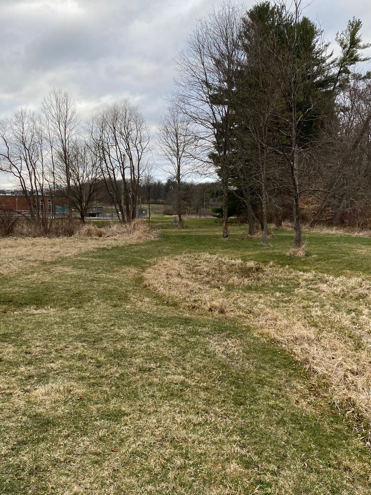 Hole 15 tee