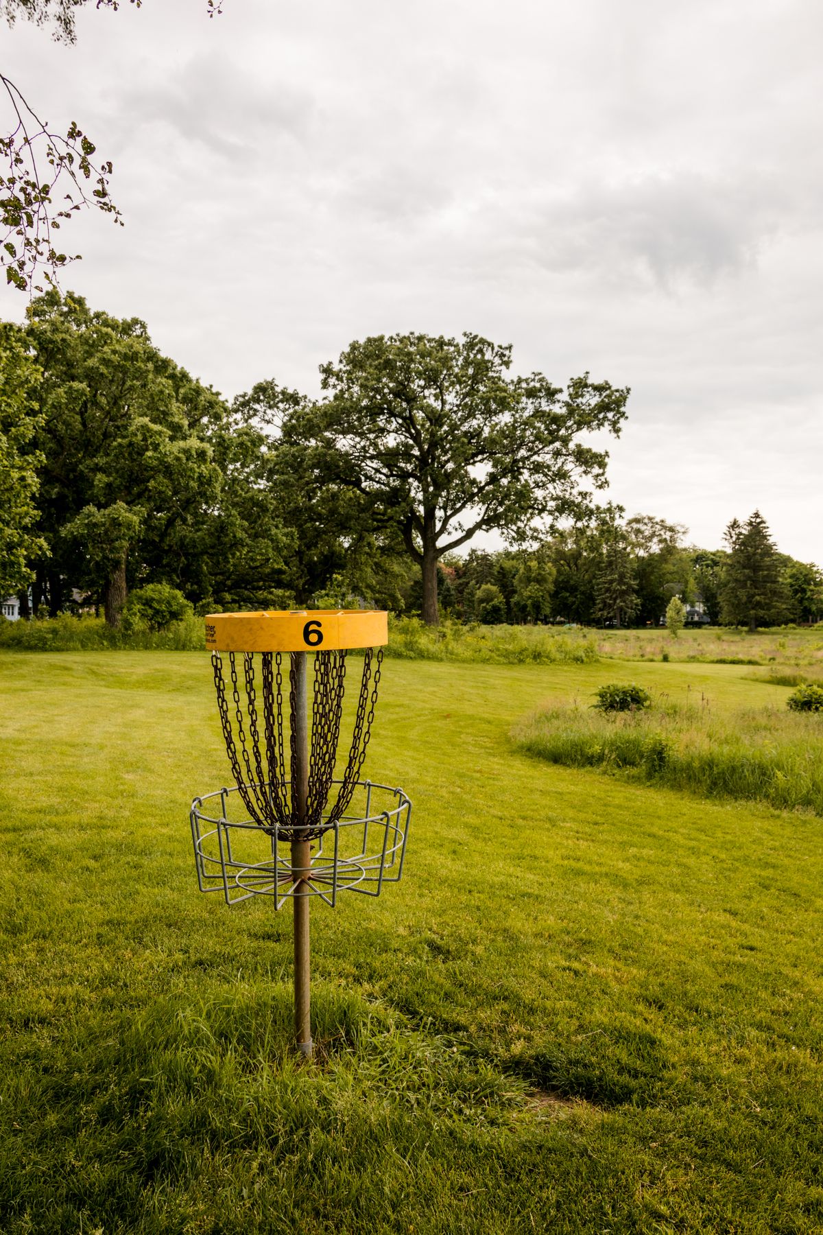 Hole 6 looking towards tee