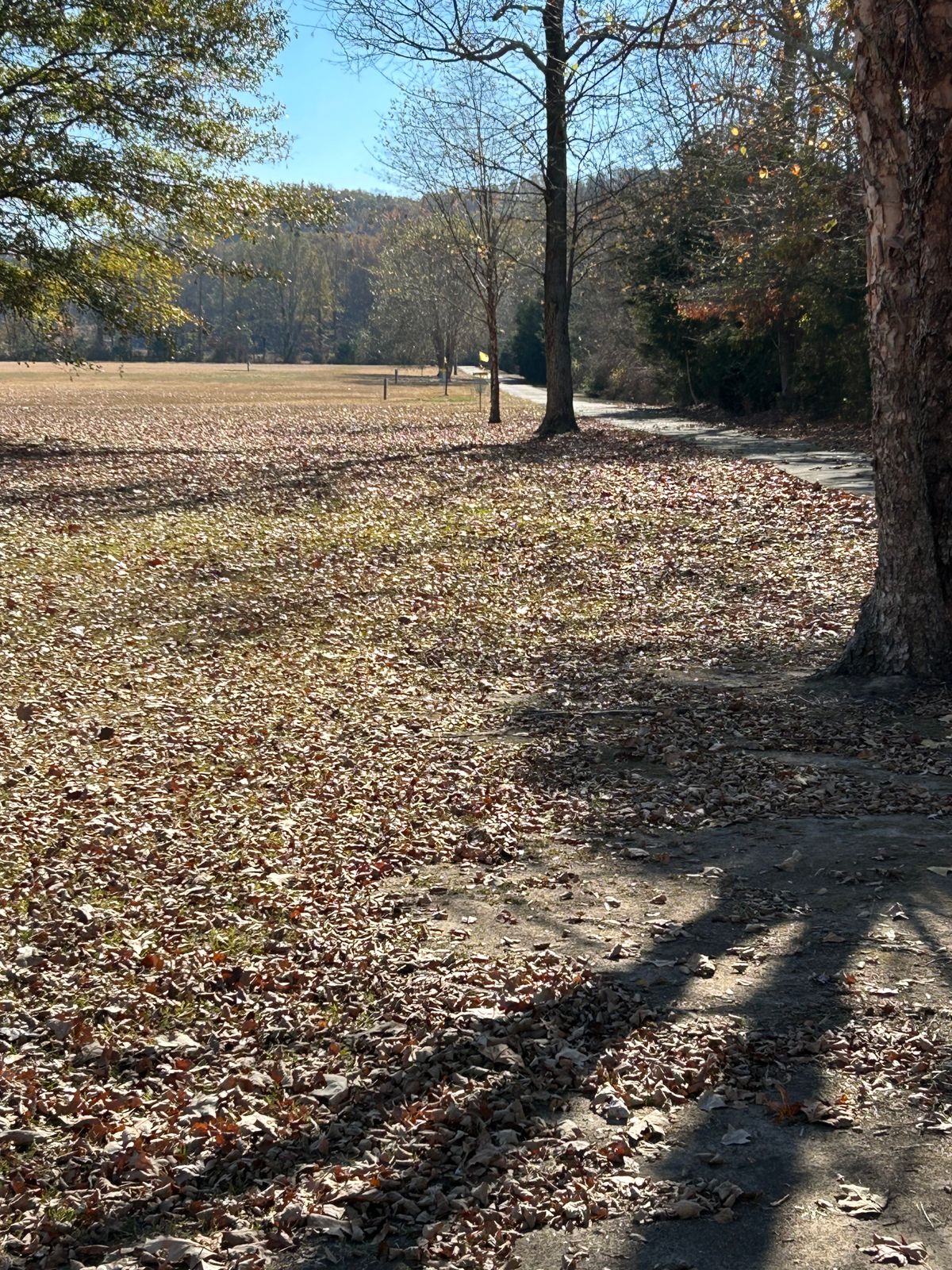 Hole 13 basket