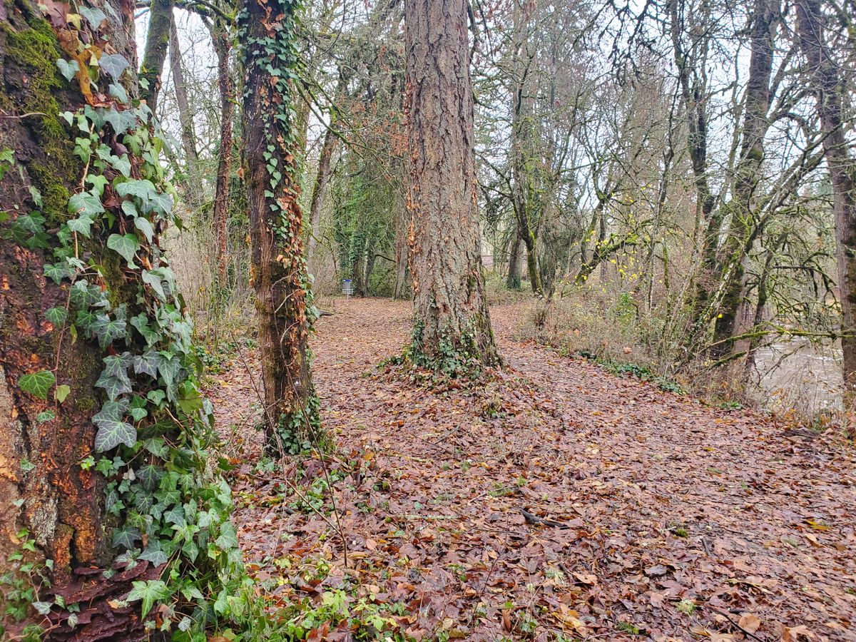Hole 5