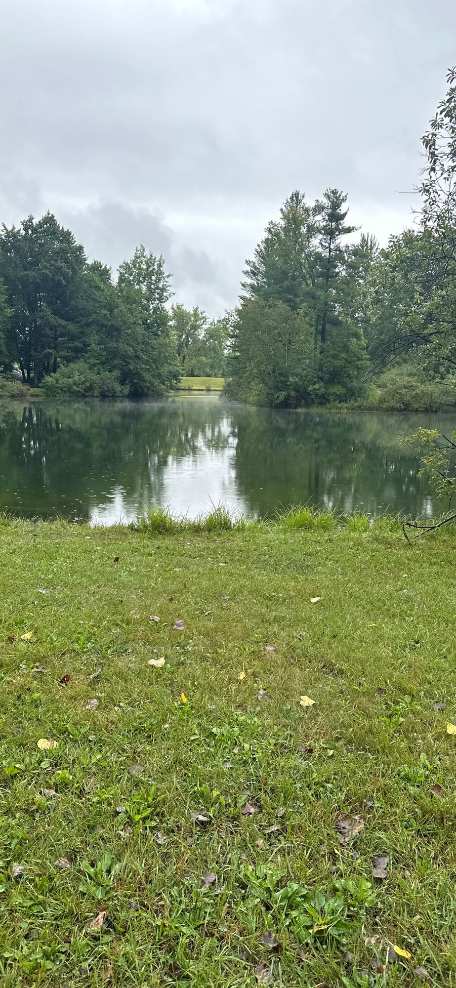 View on the way to hole six