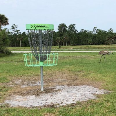 Birdie on a par 4.