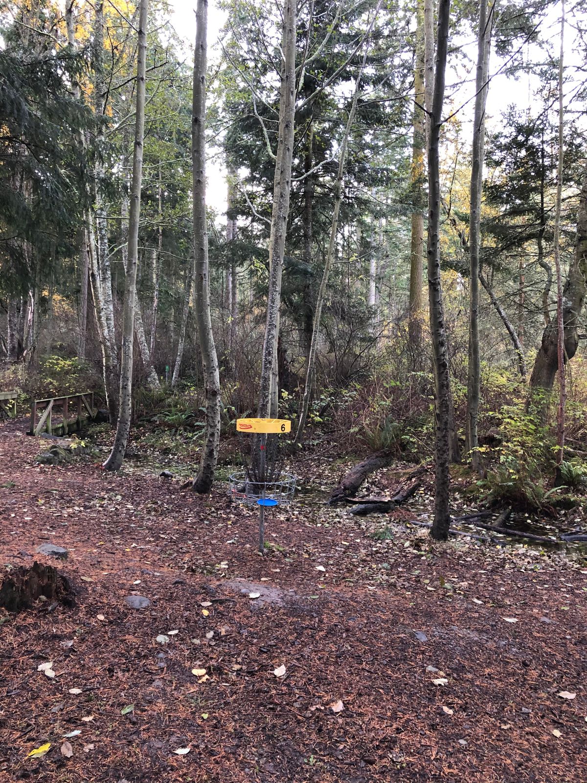 In the woods.