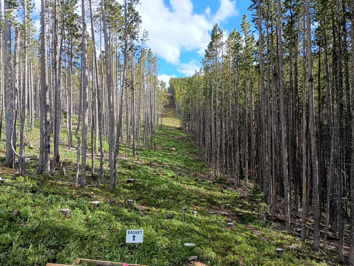 Hole 6