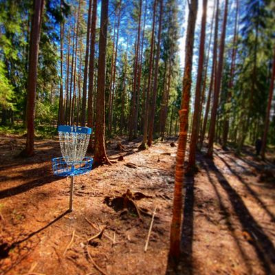 Hole 11