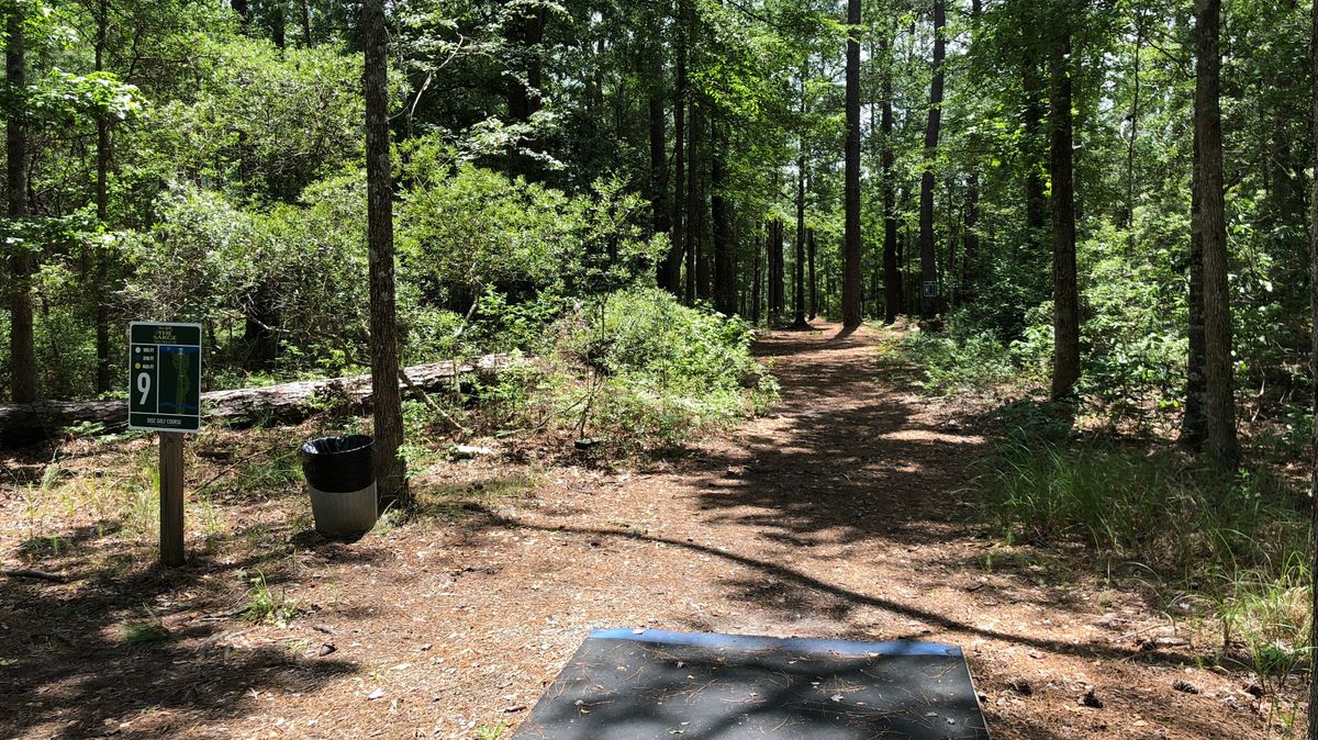 Hole 9