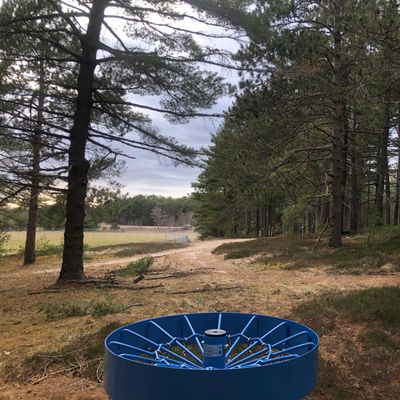 9 basket in the centre of a lovely green