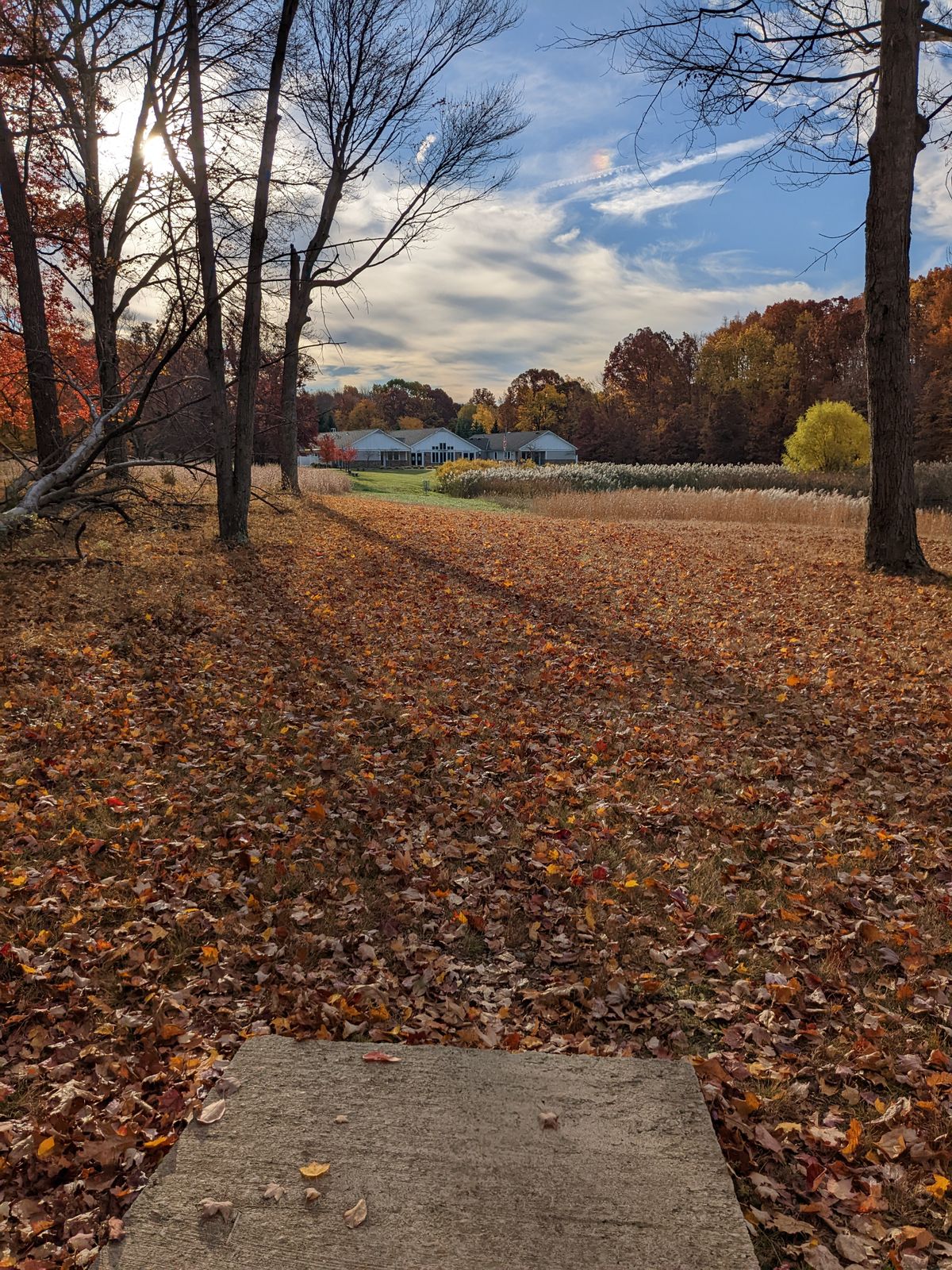 Hole 3 tee