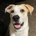 User avatar image