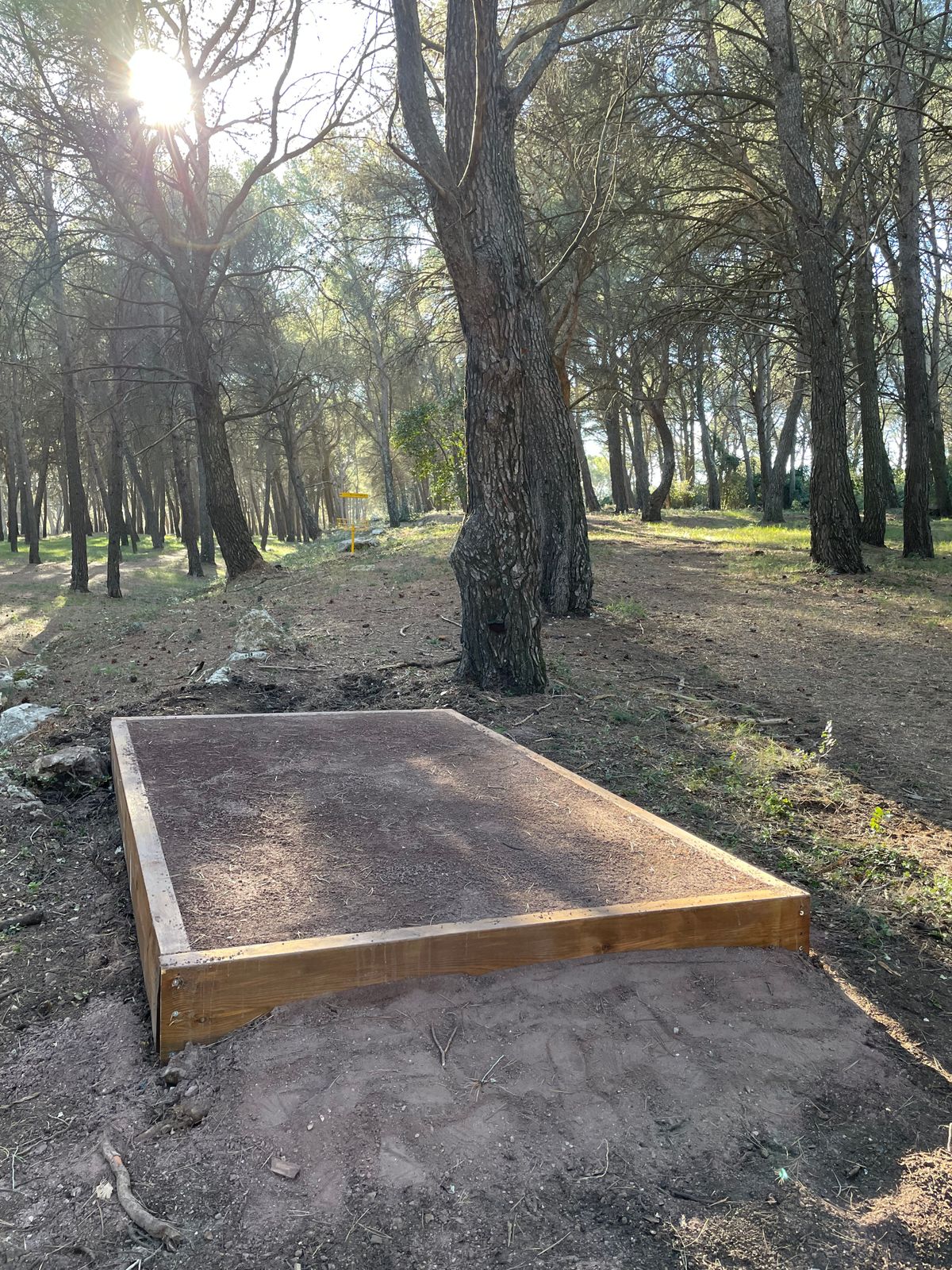 TEE 18