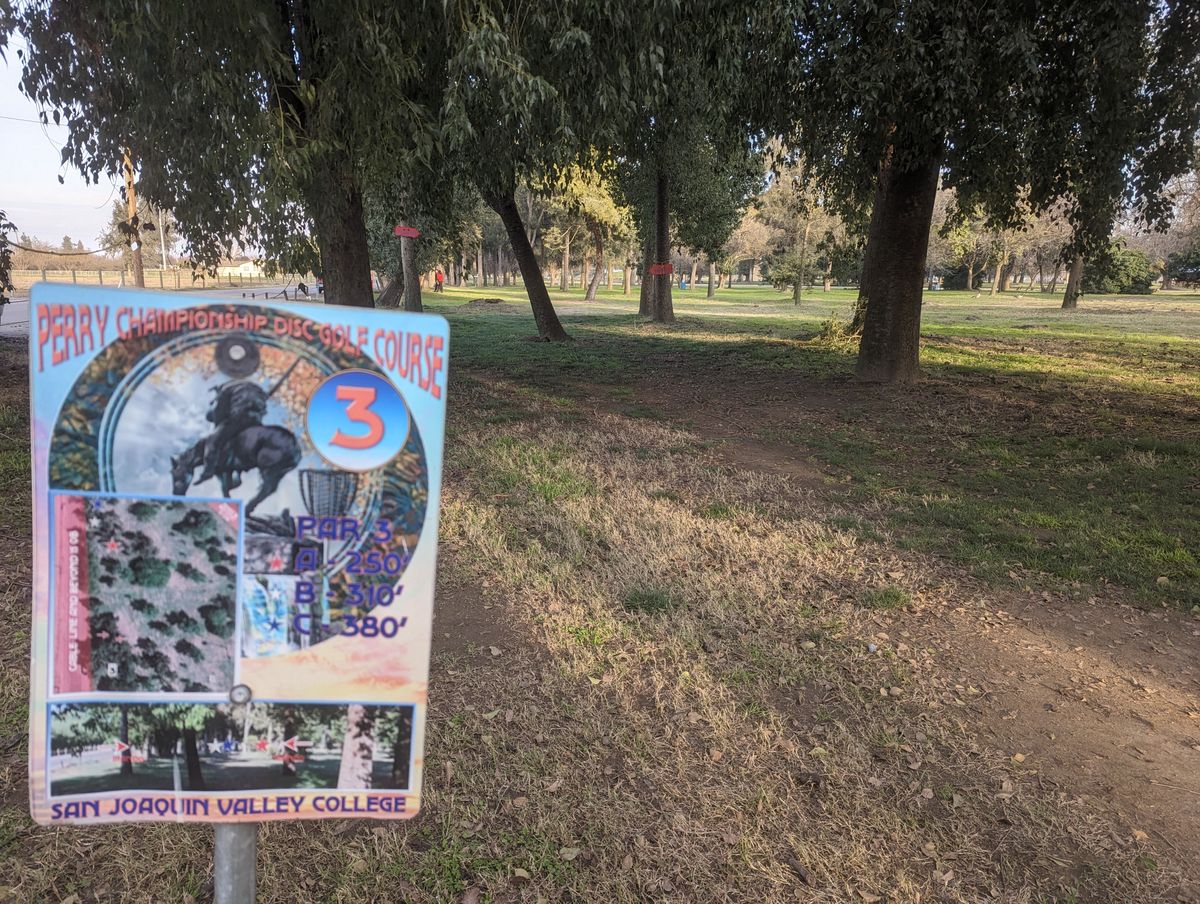 Hole 3 tee