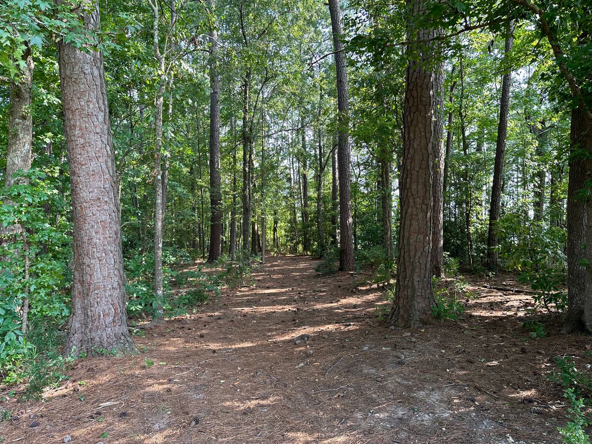 Hole 17 Fairway