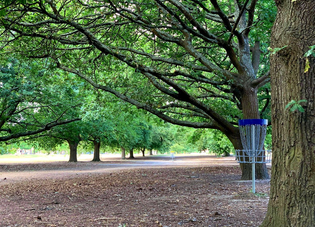 Hole 11 - Adv. Basket
Photo: Kyle Schweinzer