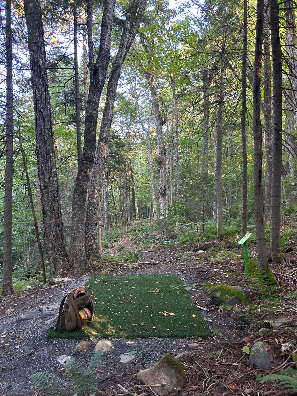 Hole 4 tee