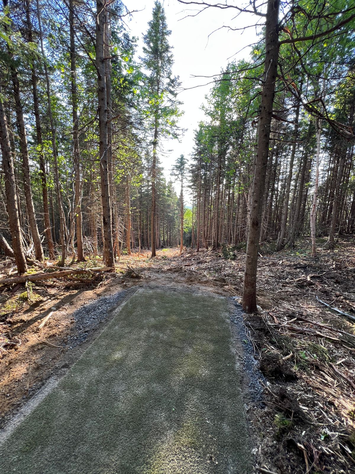 Hole 6