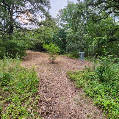 Behind hole 8