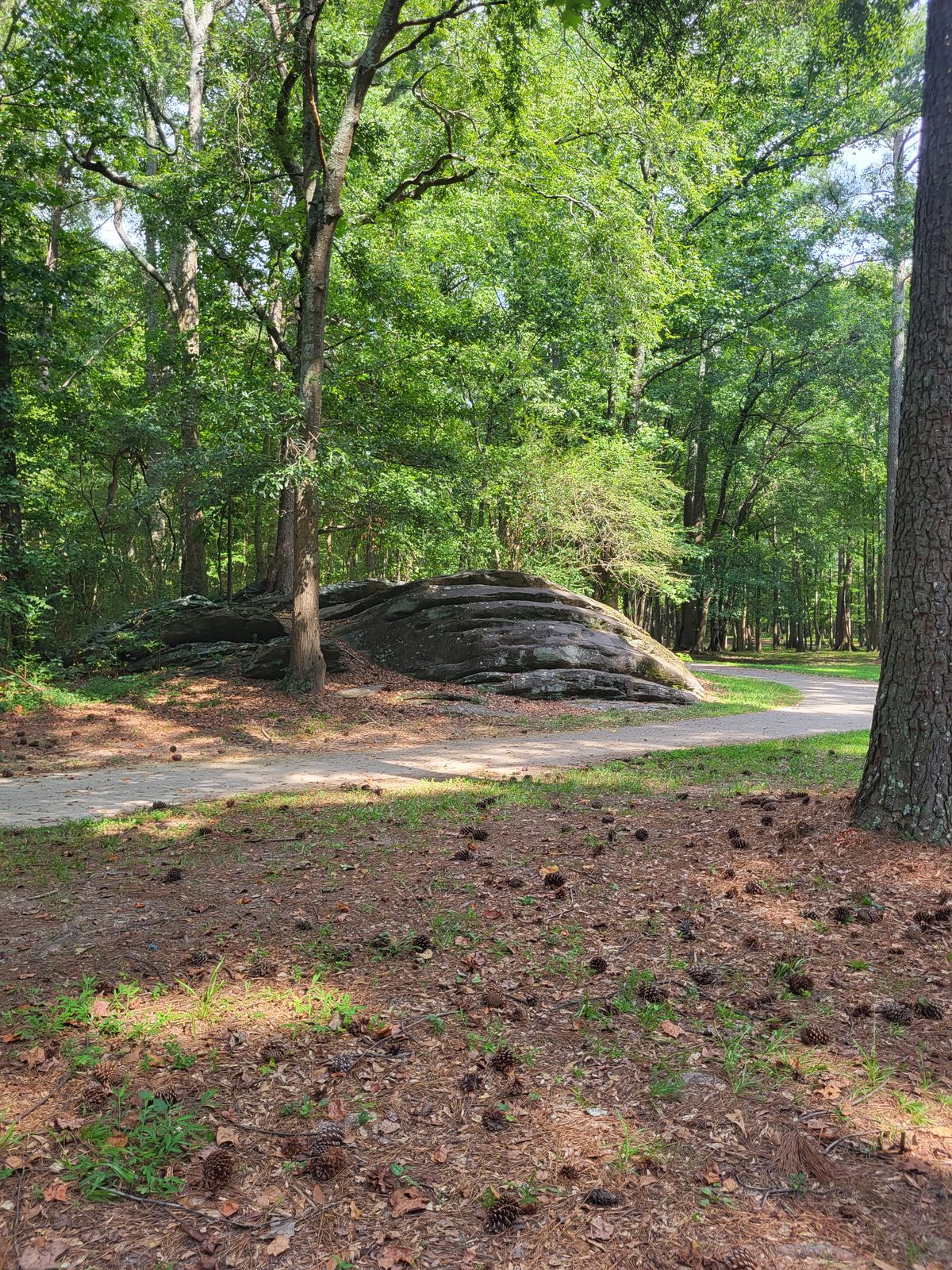 Rock @ Frog Rock! August 2023
