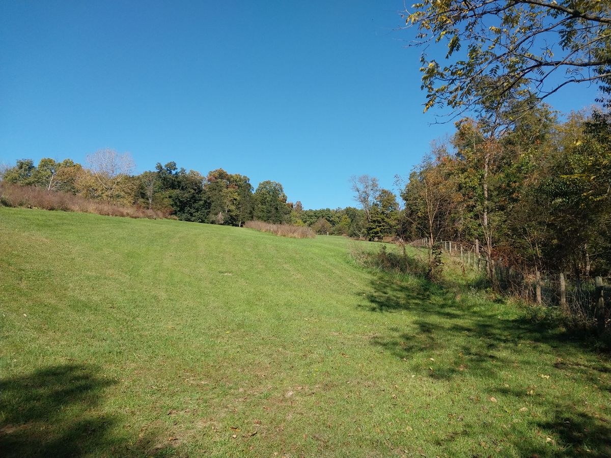 7 tee