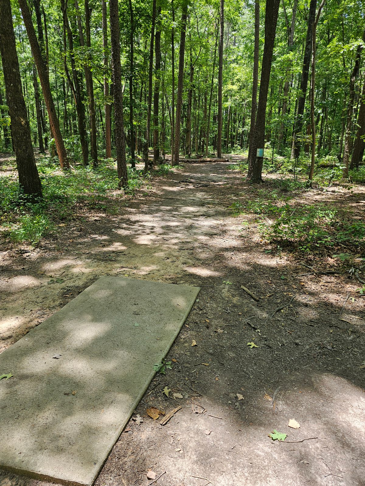 Hole 16