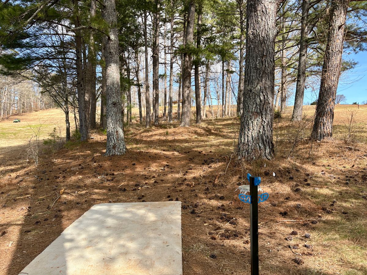Hole 11 Tee