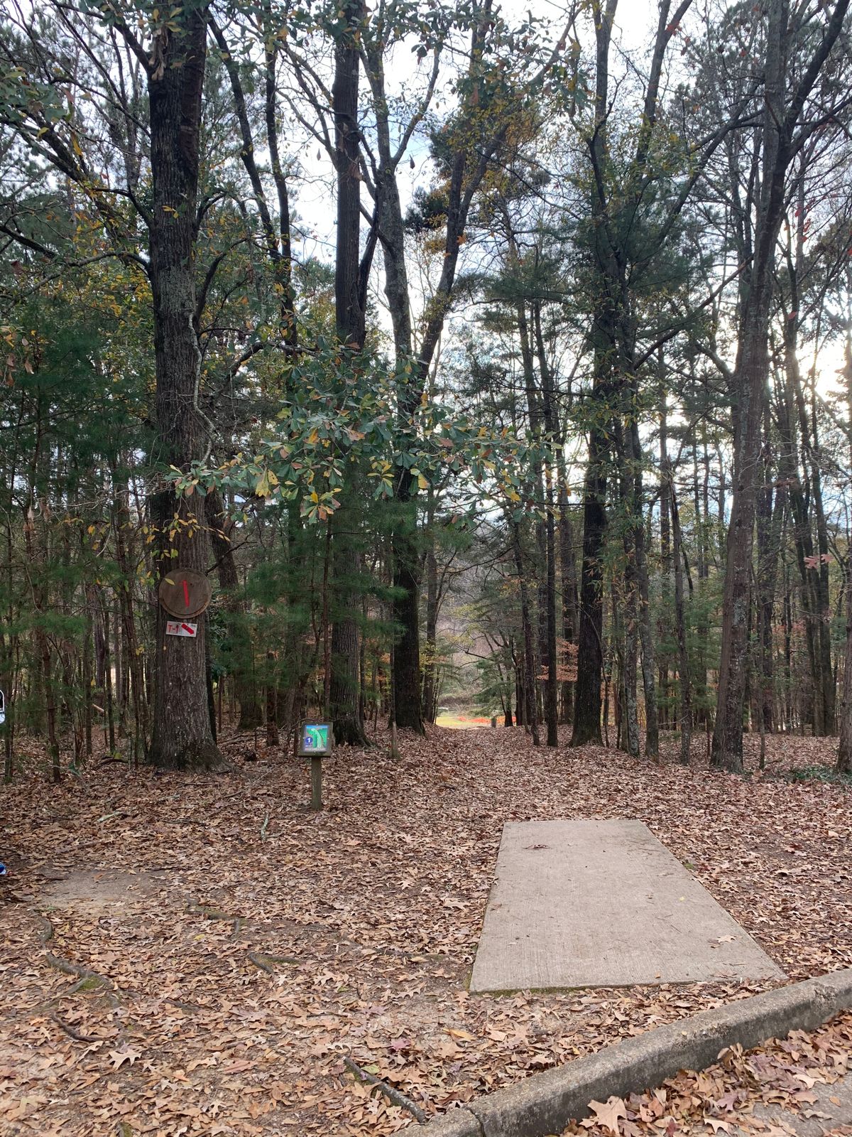 Hole 1