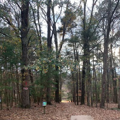 Hole 1