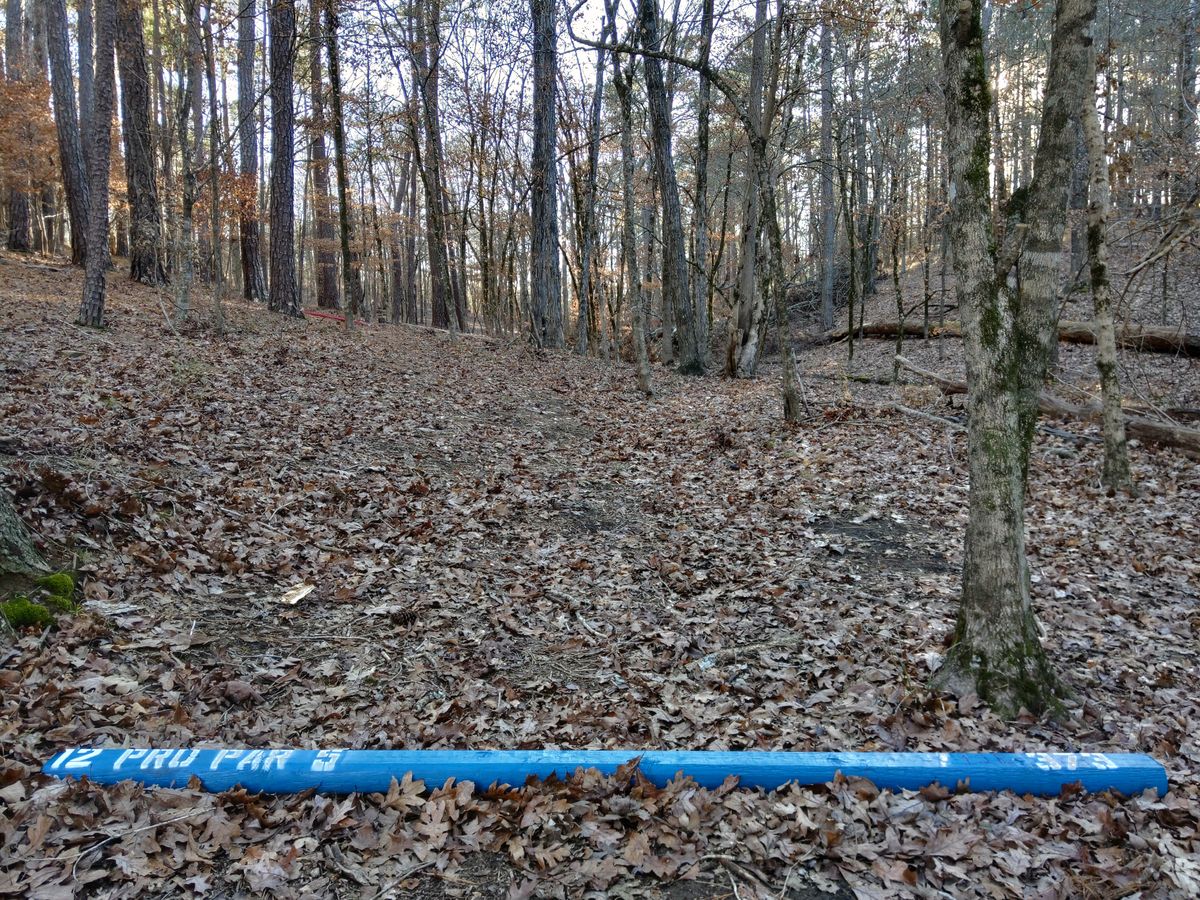 Hole 12 Pro Tee