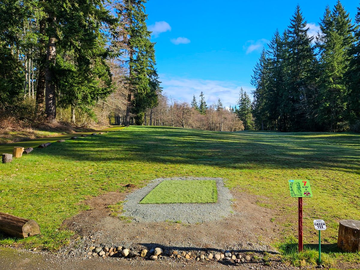 Hole 7 tee pad