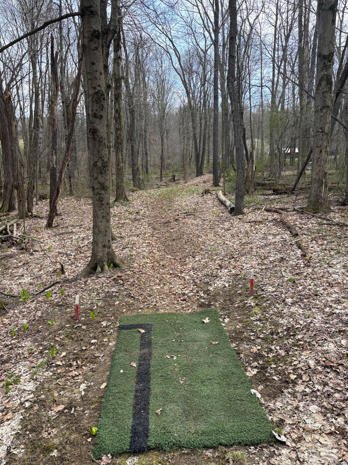 Hole 3 Short tee
