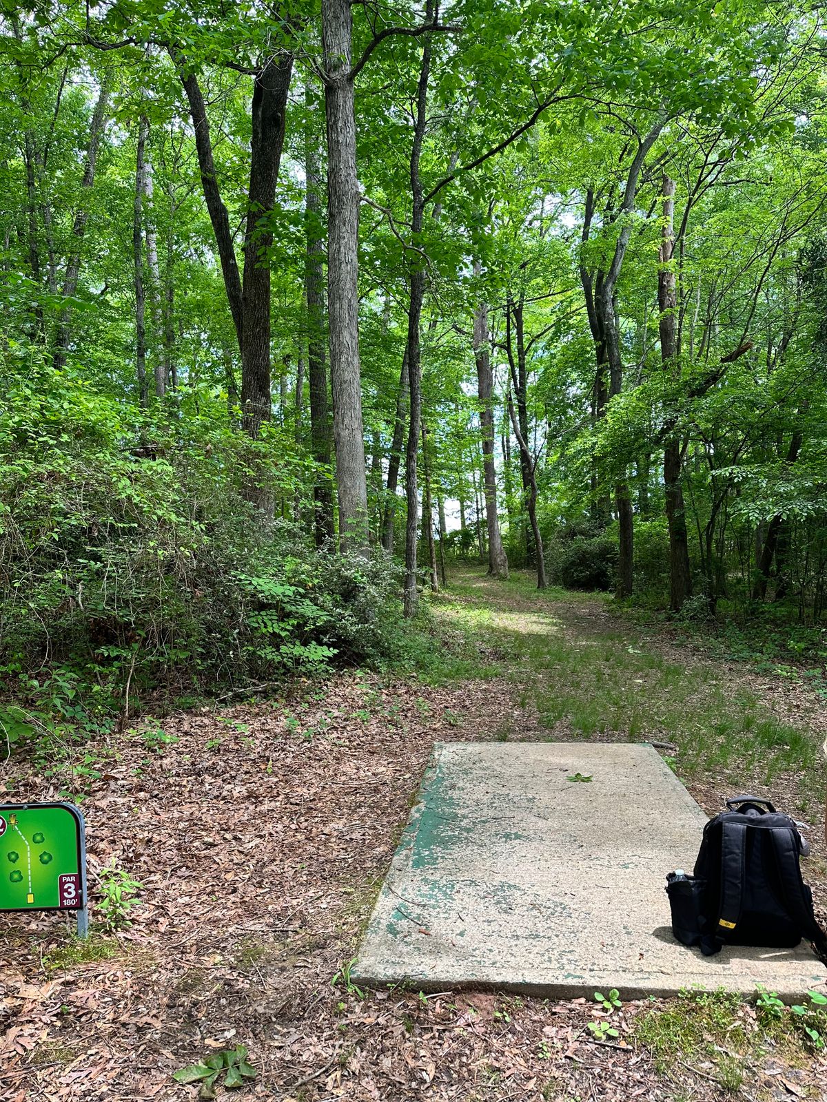 Hole 12