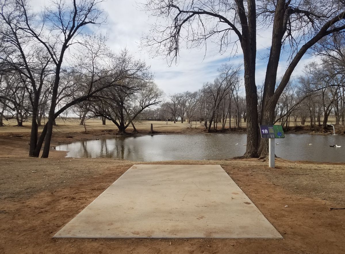 Hole 10 set in short position, 175', right over the water.