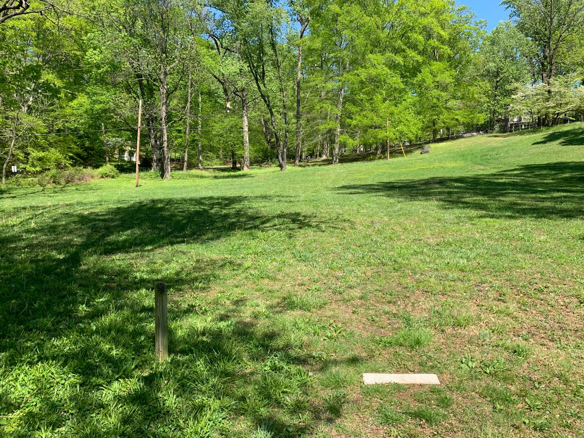 Hole 9 tee. Par 3. Basket is ahead to the left and uphill,  between the group of trees.