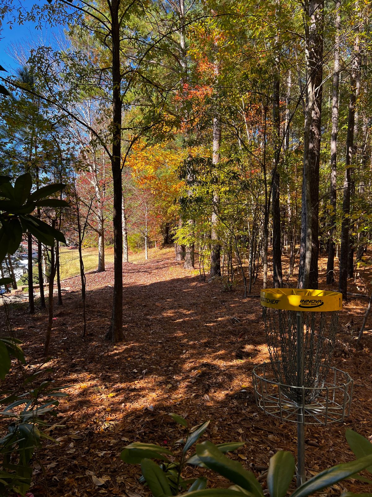 Hole 1 green looking back at tee