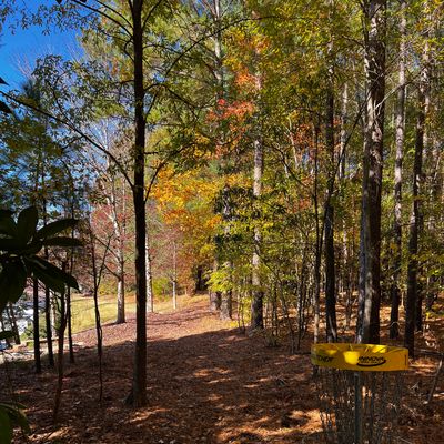 Hole 1 green looking back at tee