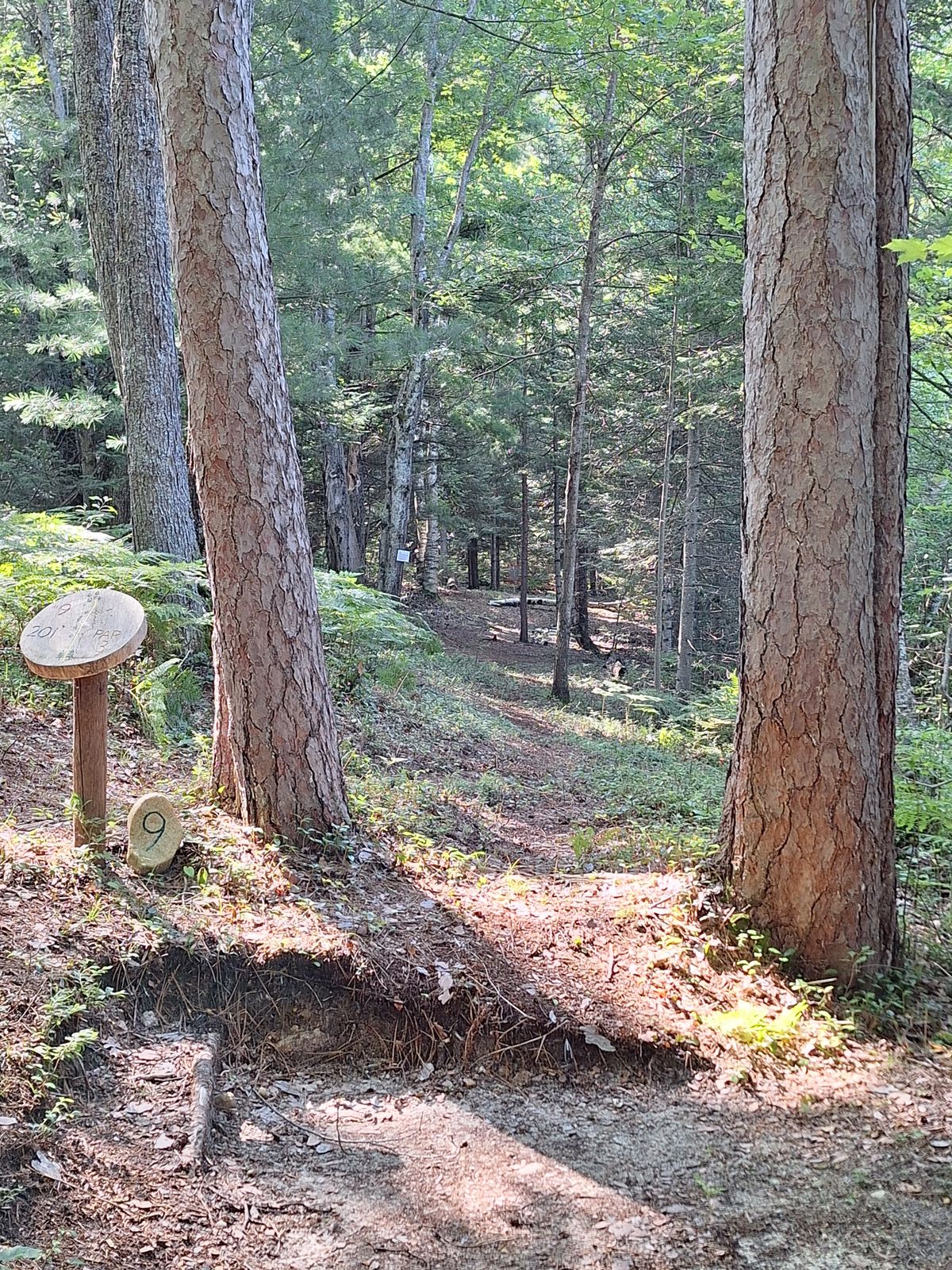 Hole 9