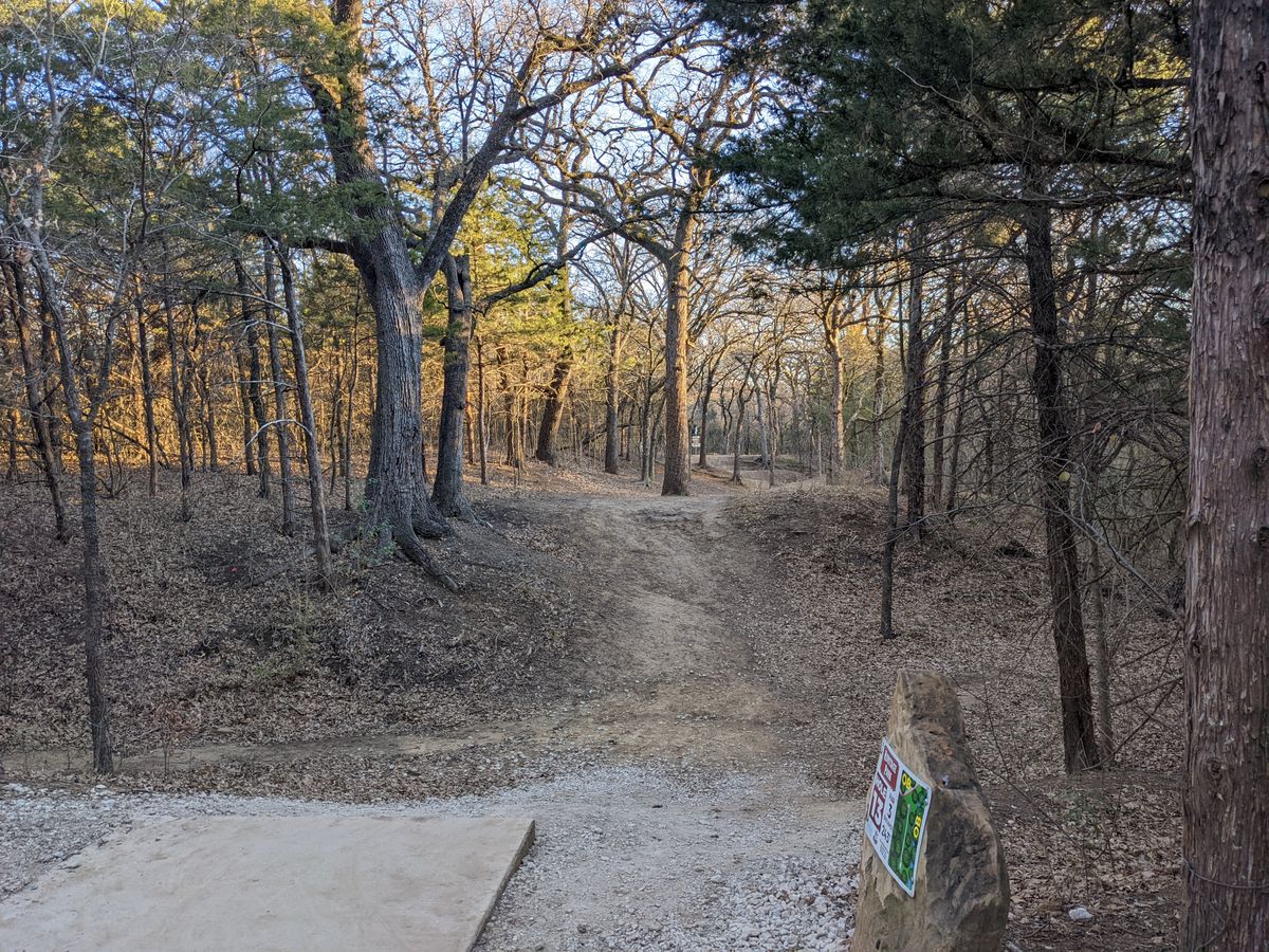 Hole 13 - straight ahead w/ trees everywhere.