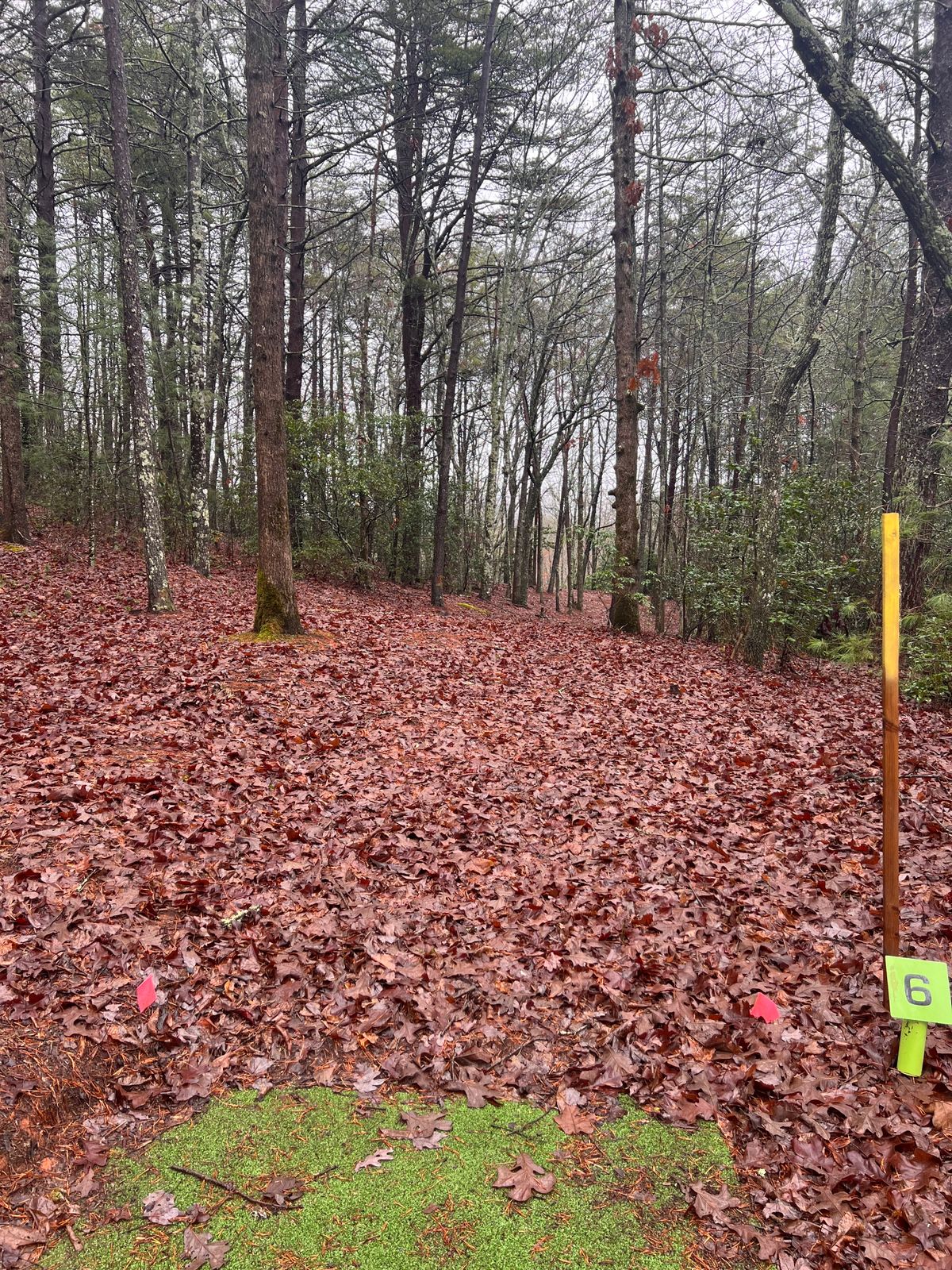 Hole 6 tee box