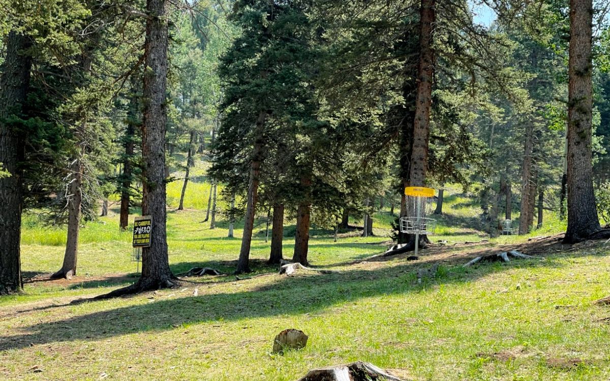 Hole 1, gold position