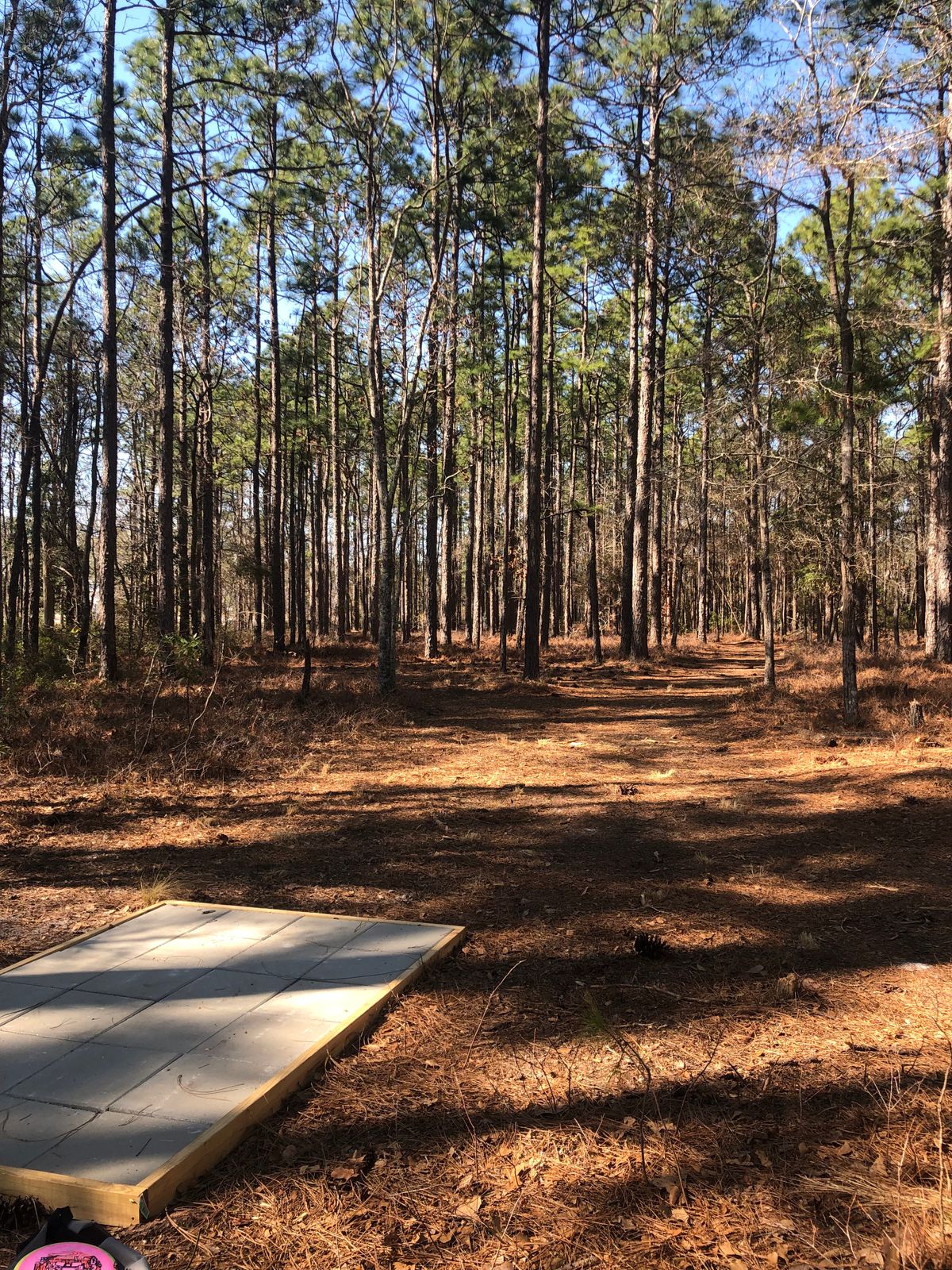 Hole 2. Tunnel hyzer shot to the left.