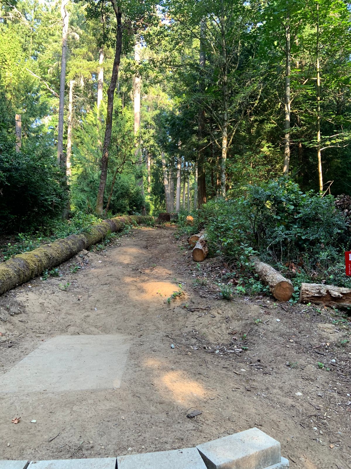 Hole 10 - Red Tee