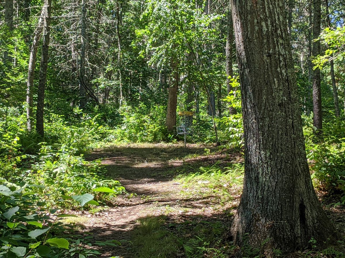 Hole 15
