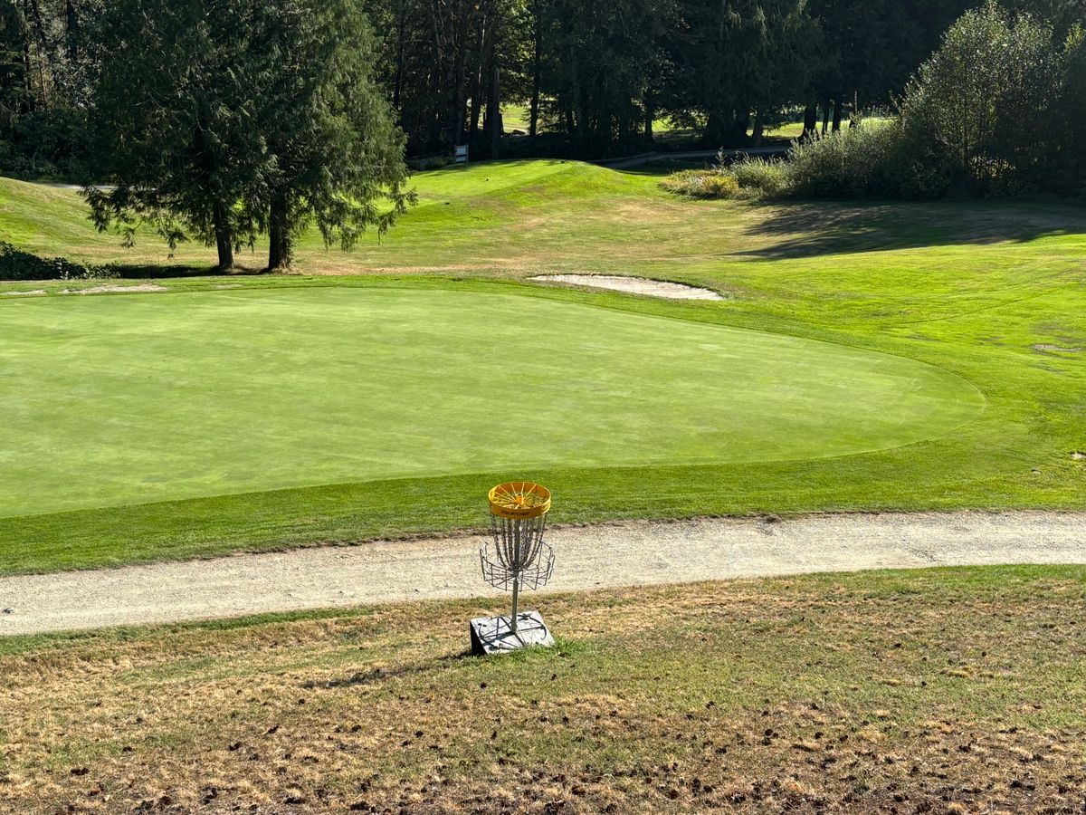 Hole 15 looking back down towards tee pad.